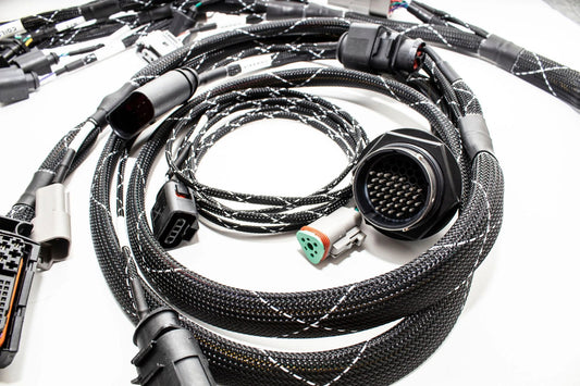 1.8T MK4 Wire Tucked Complete Engine Harness Wideband ECU's only AWP, AWW, BEA, BAM - - Carrot Top Tuning