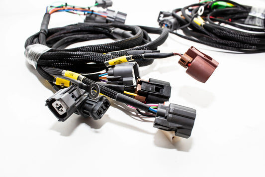 Acura Integra Wiretuck Headlight/Front End Harness | 96-01 DC | USDM Headlights/ Blinkers Carrot Top Tuning