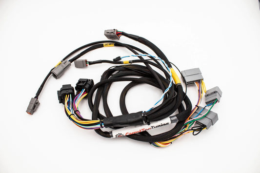 Budget Fueltech FT550 Standalone Honda B Series Jumper Adapter Sub Harness Carrot Top Tuning