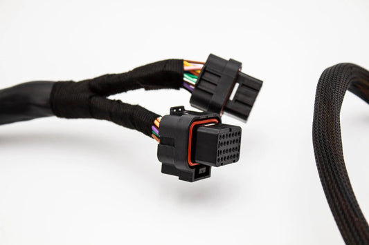 Budget Fueltech FT550 Standalone Honda K20 K24 Series Jumper Adapter Sub Harness Carrot Top Tuning