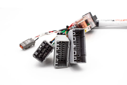 Haltech Elite 550/750 B Series & H Series Standalone Honda B18 B16 H22 H23 Jumper Adapter Sub Harness OBD1 | EG, Integra