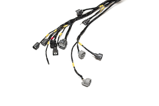 D & B-Series OBD1 Tucked Engine Harness Kit w/ Subharness | 96-99 Acura Integra DC Carrot Top Tuning