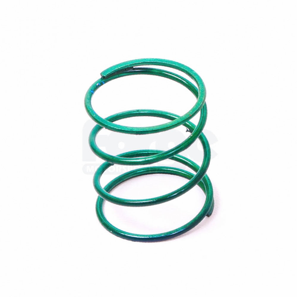 large Dump Valve Spring (Single)