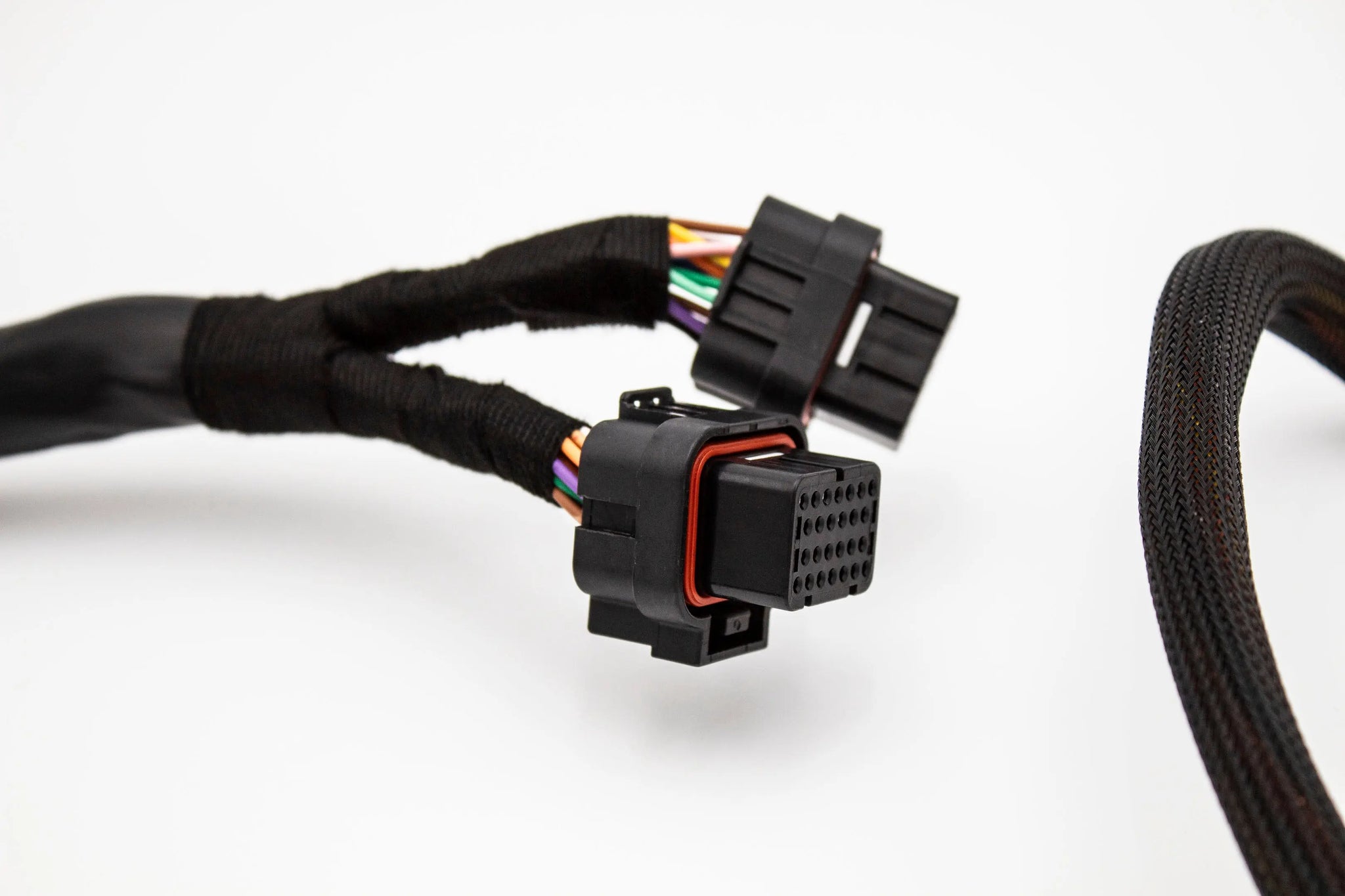 Budget Fueltech FT550 Standalone Honda K20 K24 Series Jumper Adapter