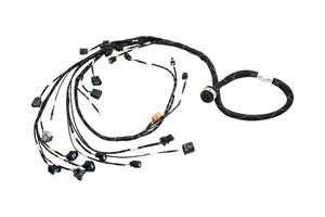 Fueltech FT550 Standalone Honda K20 K24 Series Engine Harness w/ Built in Fusebox Carrot Top Tuning