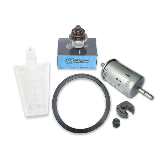 QFS Fuel Pump Repair Kit w/ Fuel Filter + Pressure Regulator, QFS-K359 QFS