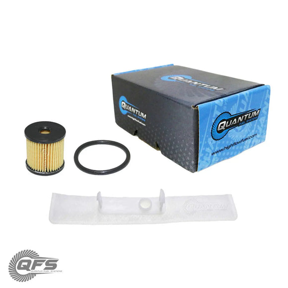 Fuel Pump Strainer/Filter Kit w/ Fuel Filter, Strainer, QFS-FK42 QFS