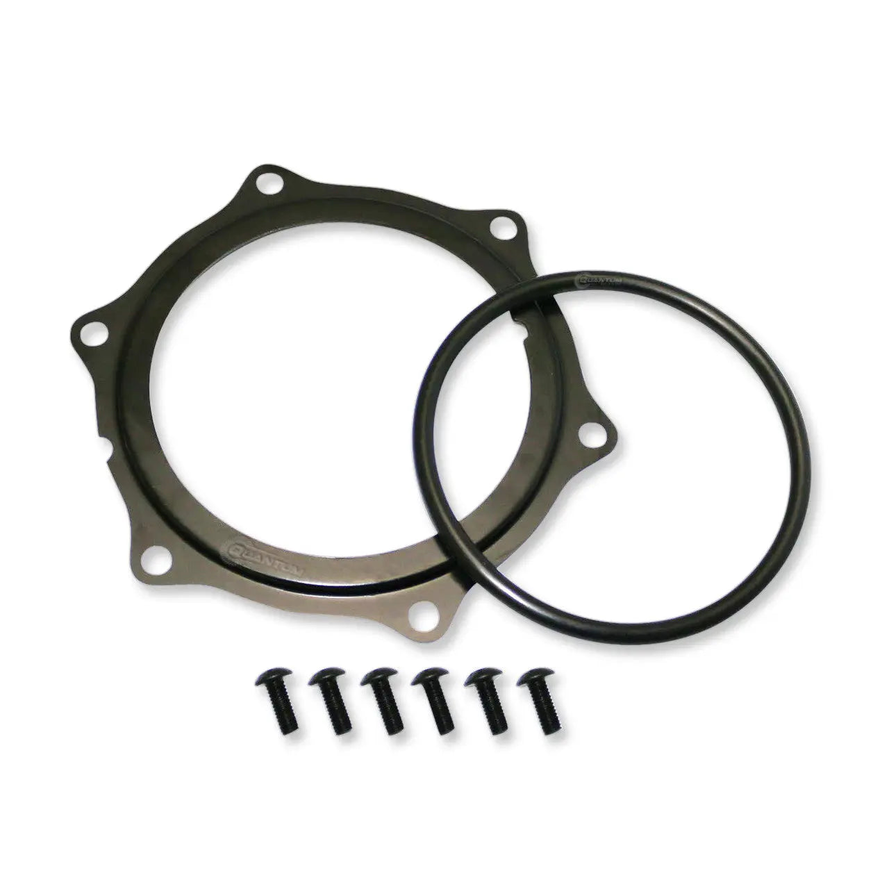 QFS Fuel Pump Assembly / Fuel Tank Lock Retainer Ring Hold-Down, HFP-LR105 QFS