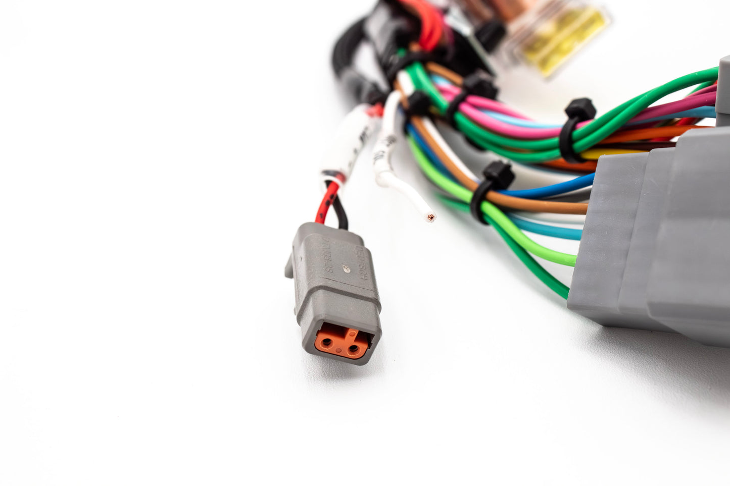 Haltech Elite 550/750 B Series & H Series Standalone Honda B18 B16 H22 H23 Jumper Adapter Sub Harness OBD1 | EG, Integra