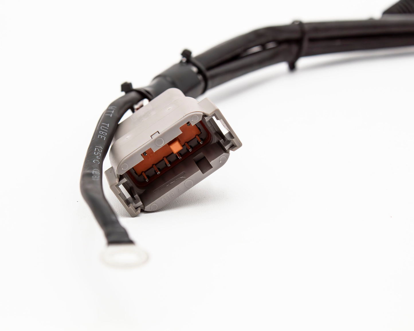 1.8T Universal Ignition Coil Pack Replacement Harness V4