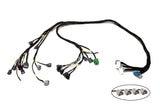 D & B-Series OBD1 Tucked Engine Harness Kit w/ Subharness | 00-01 Acura Integra DC Carrot Top Tuning
