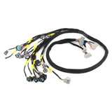 D & B-Series OBD2 Engine Tucked Engine Harness Kit w/ Subharness | 88 - 91 EF CRX Carrot Top Tuning