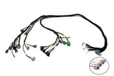 D & B-Series OBD1 Tucked Engine Harness Kit w/ Subharness | 88 - 91 EF CRX Carrot Top Tuning