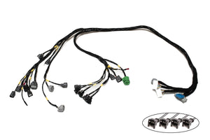 D & B-Series OBD1 Tucked Engine Harness Kit w/ Subharness | 92-95 Civic EG EJ Carrot Top Tuning