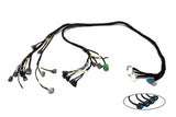 D & B-Series OBD1 Tucked Engine Harness Kit w/ Subharness | 92-95 Civic EG EJ Carrot Top Tuning