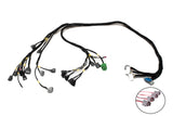 D & B-Series OBD1 Tucked Engine Harness Kit w/ Subharness | 92-95 Civic EG EJ Carrot Top Tuning