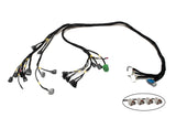 D & B-Series OBD1 Tucked Engine Harness Kit w/ Subharness | 92-95 Civic EG EJ Carrot Top Tuning