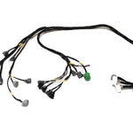 D & B-Series OBD1 Tucked Engine Harness Kit w/ Subharness | 92-96 Honda Prelude Carrot Top Tuning