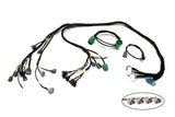 H-Series H2B OBD1 Tucked Engine Harness Kit w/ Subharness | 94-95 Integra DC Carrot Top Tuning