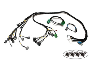 H-Series H2B OBD1 Tucked Engine Harness Kit w/ Subharness | 94-95 Integra DC Carrot Top Tuning