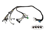 D & B-Series OBD1 Tucked Engine Harness Kit w/ Subharness | 94-95 Integra DC Carrot Top Tuning