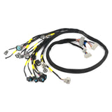 D & B-Series OBD2 Engine Tucked Engine Harness Kit w/o Subharness Carrot Top Tuning
