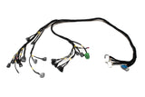 D & B-Series OBD1 Tucked Engine Harness Kit w/ Subharness | 92-95 Civic EG EJ Carrot Top Tuning