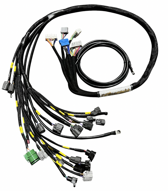 B D H F Series Tucked Engine Sub Chassis Harness OBD1